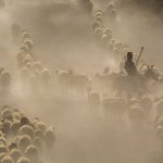 Vstavajte pastieri